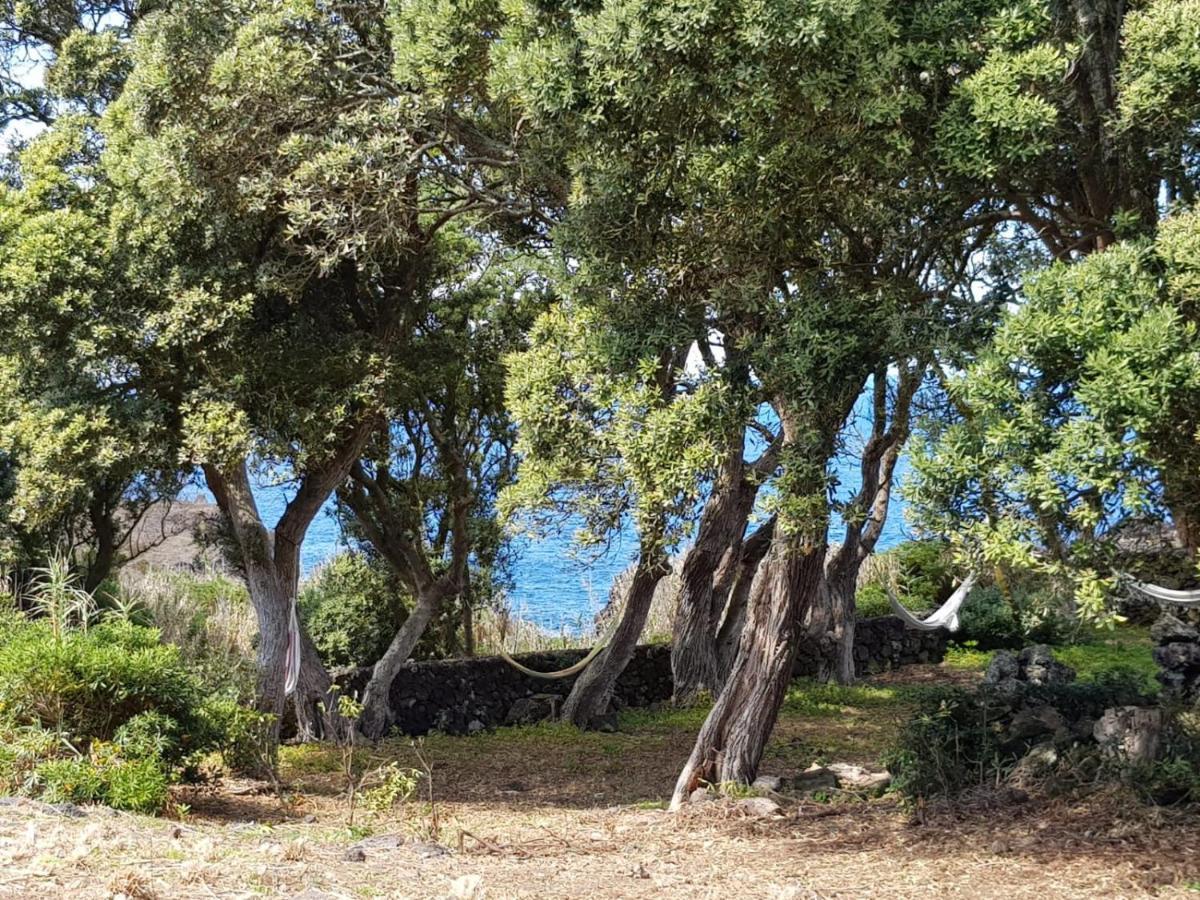 Quinta Da Falesia - Casa Branca Ponta Delgada المظهر الخارجي الصورة