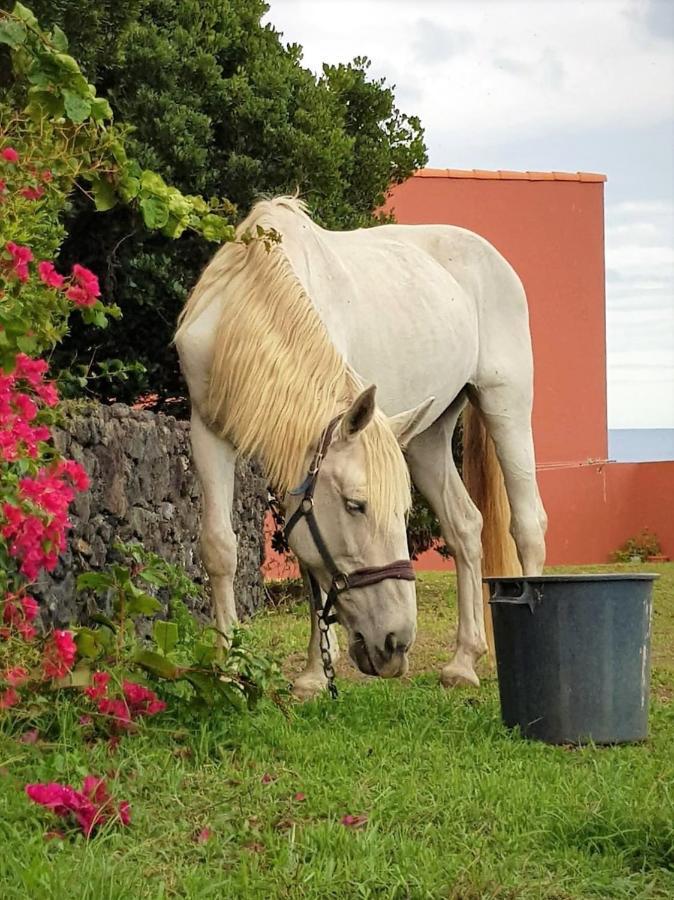 Quinta Da Falesia - Casa Branca Ponta Delgada المظهر الخارجي الصورة